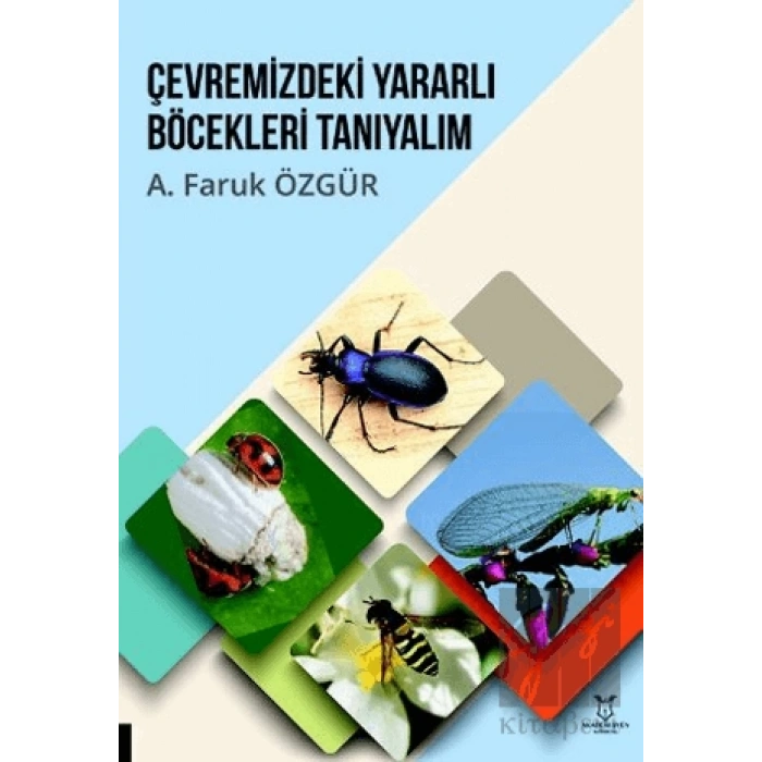 Çevremizdeki Yararlı Böcekleri Tanıyalım