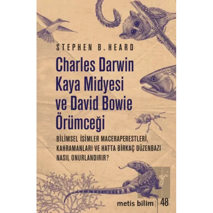 Charles Darwin Kaya Midyesi ve David Bowie Örümceği