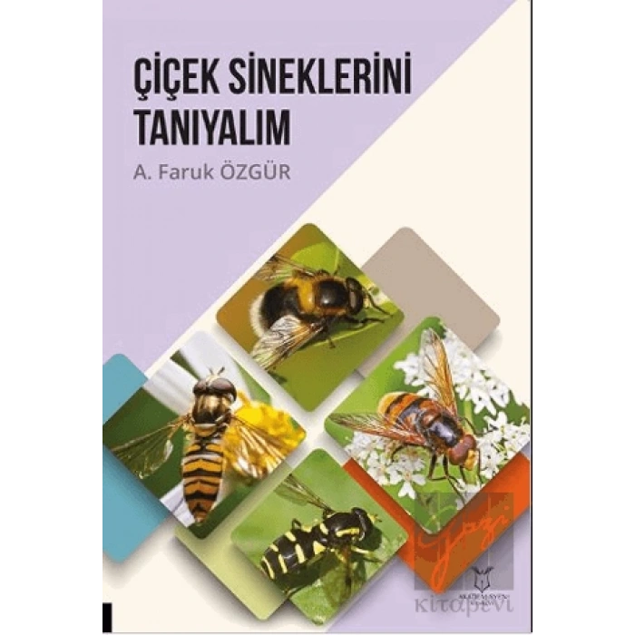 Çiçek Sineklerini Tanıyalım