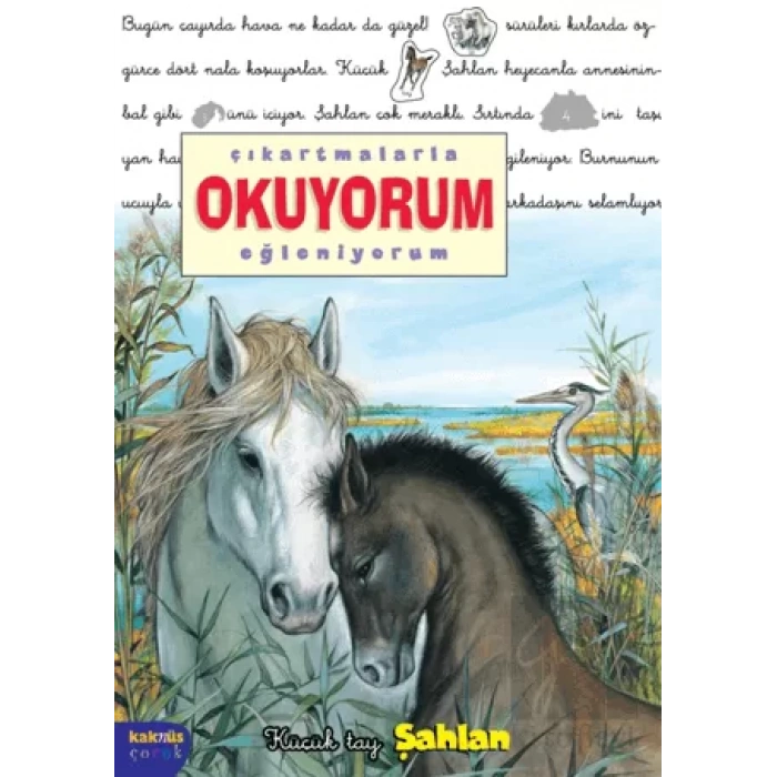 Çıkartmalarla Okuyorum Eğleniyorum -Küçük Tay Şahlan