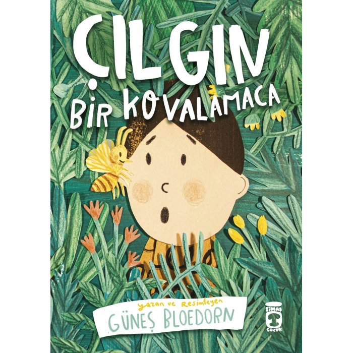 Çılgın Bir Kovalamaca