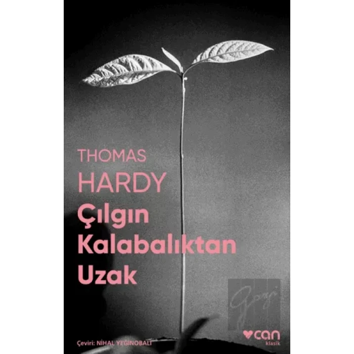 Çılgın Kalabalıktan Uzak