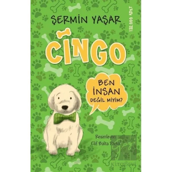 Cingo