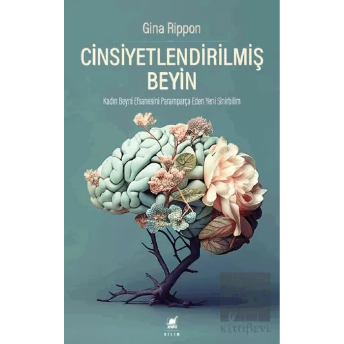 Cinsiyetlendirilmiş Beyin