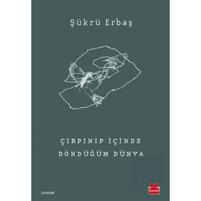 Çırpınıp İçinde Döndüğüm Dünya