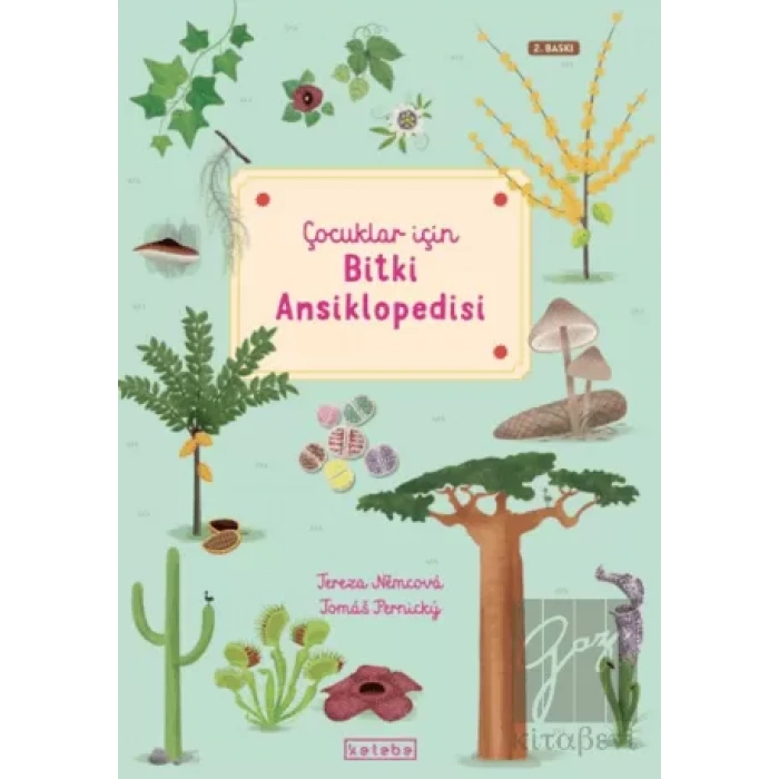 Çocuklar İçin Bitki Ansiklopedisi (Ciltli)