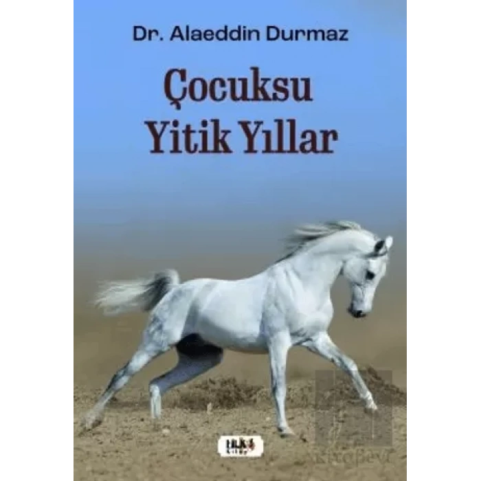 Çocuksu Yitik Yıllar