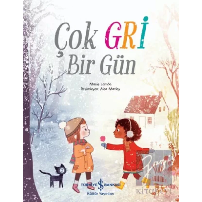 Çok Gri Bir Gün