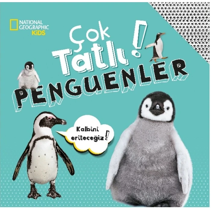 Çok tatlı penguenler