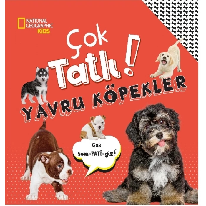 Çok tatlı yavru köpekler