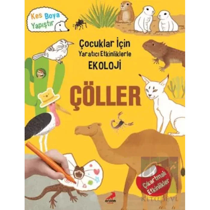 Çöller - Çocuklar İçin Yaratıcı Etkinliklerle Ekoloji