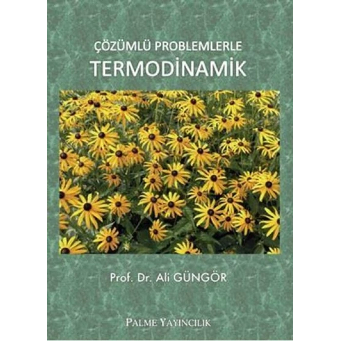 ÇÖZÜMLÜ PROBLEMLERLE TERMODİNAMİK - PALME