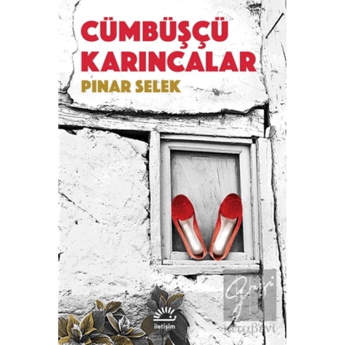 Cümbüşçü Karıncalar