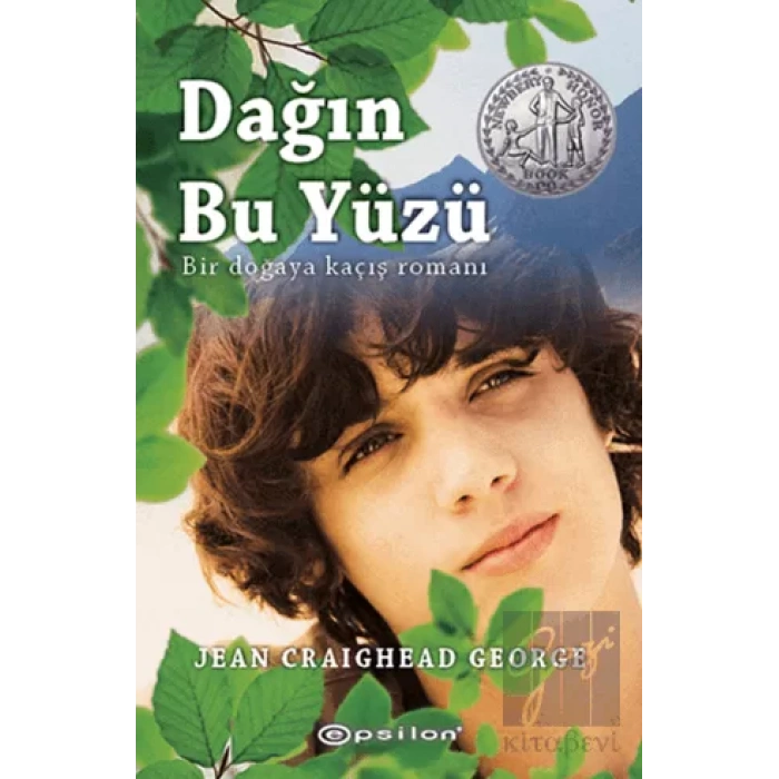 Dağın Bu Yüzü