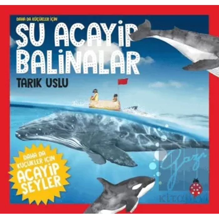 Daha da Küçükler İçin Şu Acayip Balinalar - Daha da Küçükler İçin Acayip Şeyler 4