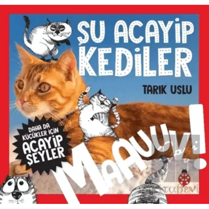 Daha da Küçükler İçin Şu Acayip Kediler - Daha da Küçükler İçin Acayip Şeyler 1