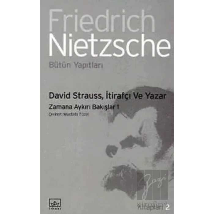 David Strauss, İtirafçı ve Yazar