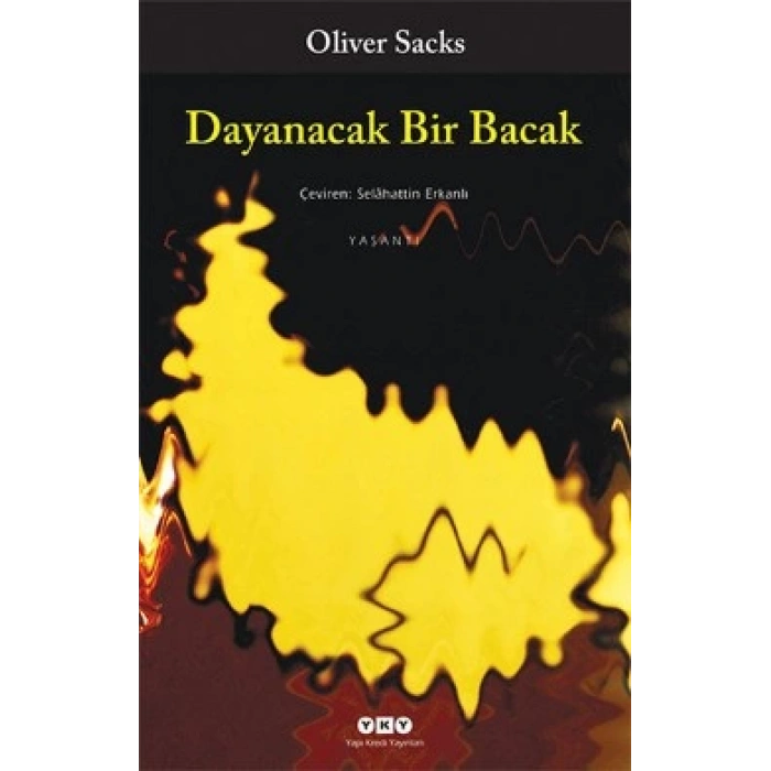 Dayanacak Bir Bacak