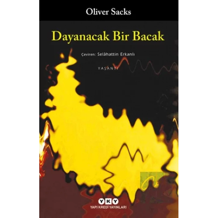 Dayanacak Bir Bacak