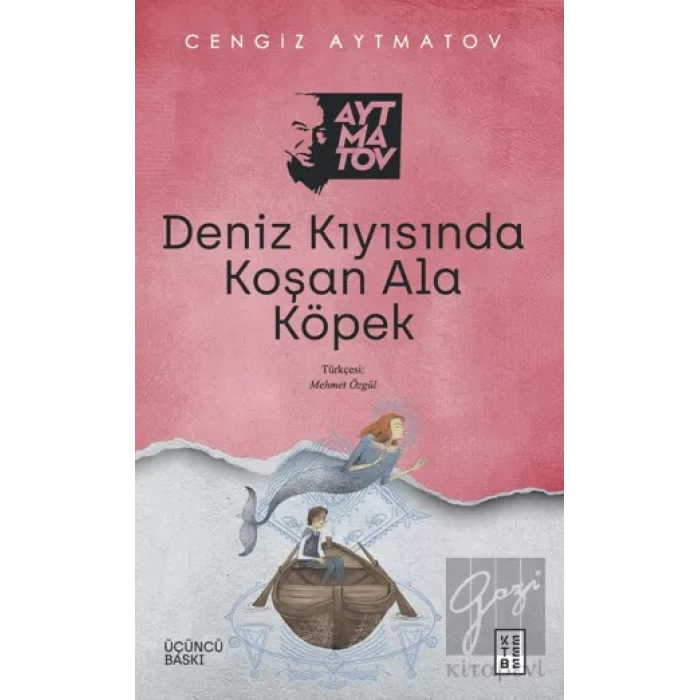 Deniz Kıyısında Koşan Ala Köpek