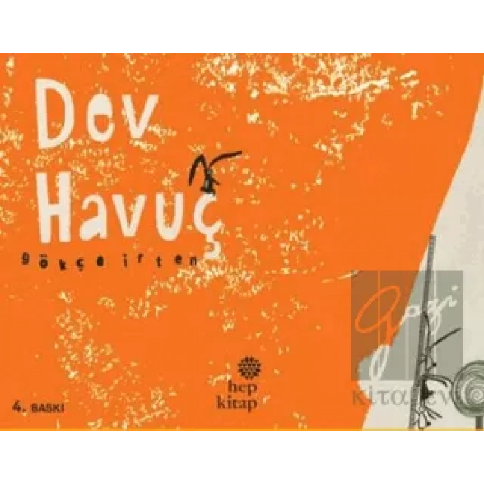 Dev Havuç