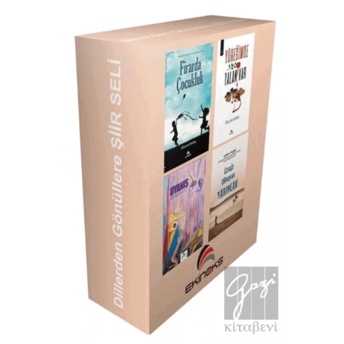 Dillerden Gönüllere Şiir Seli (4 Kitap Takım)