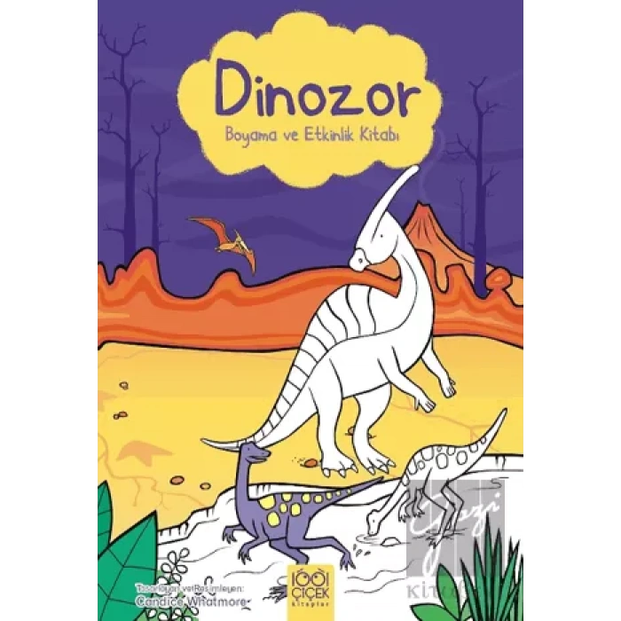 Dinozor Boyama ve Etkinlik Kitabı
