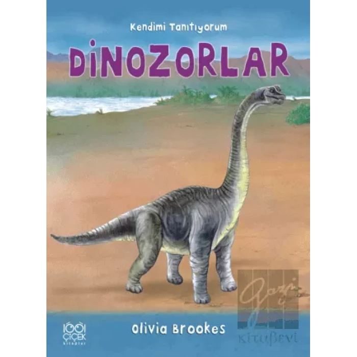 Dinozorlara Soralım