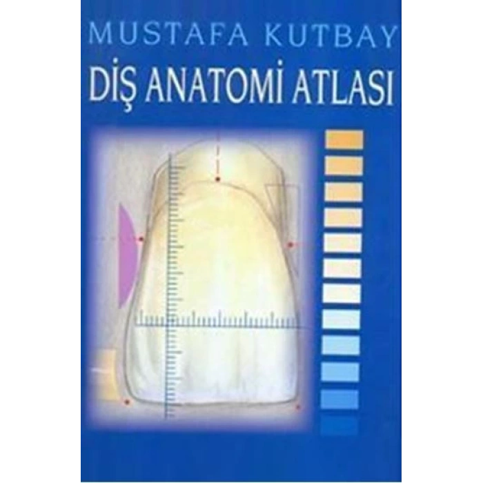 DİŞ ANATOMİSİ ATLASI -YAZARIN KENDİSİ Y.