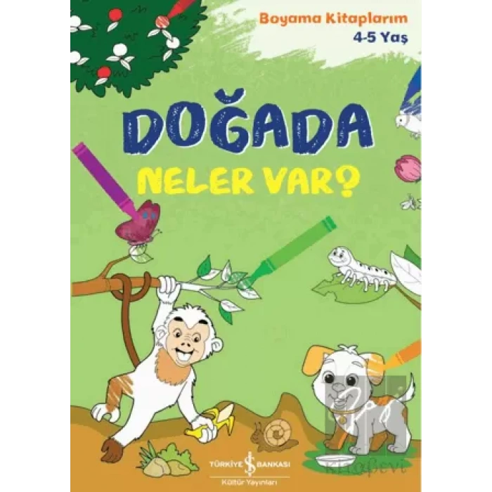 Doğada Neler Var?