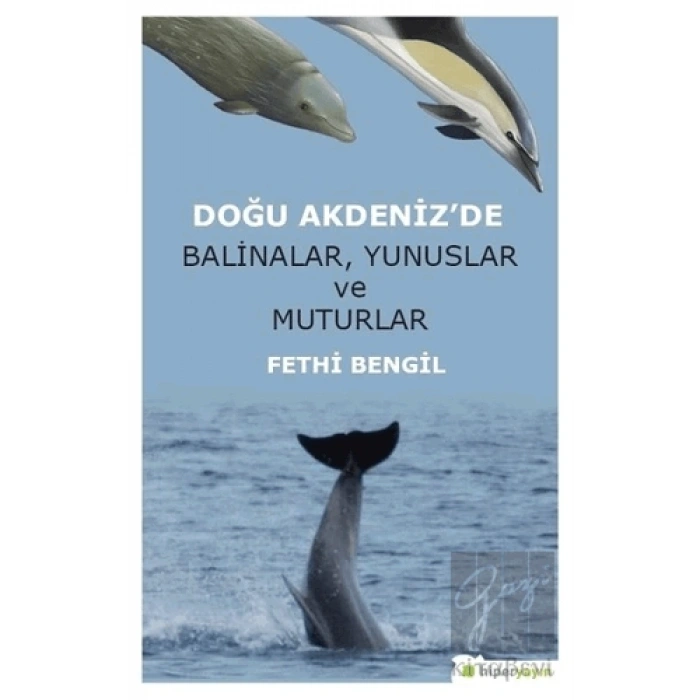 Doğu Akdenizde Balinalar, Yunuslar ve Muturlar