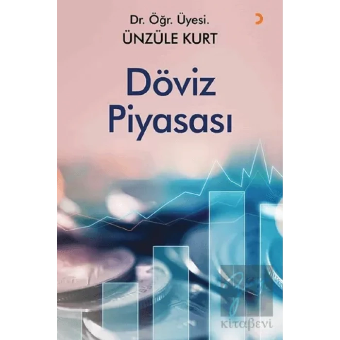 Döviz Piyasası