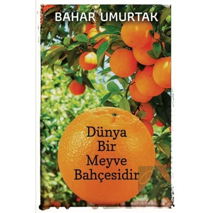 Dünya Bir Meyve Bahçesidir