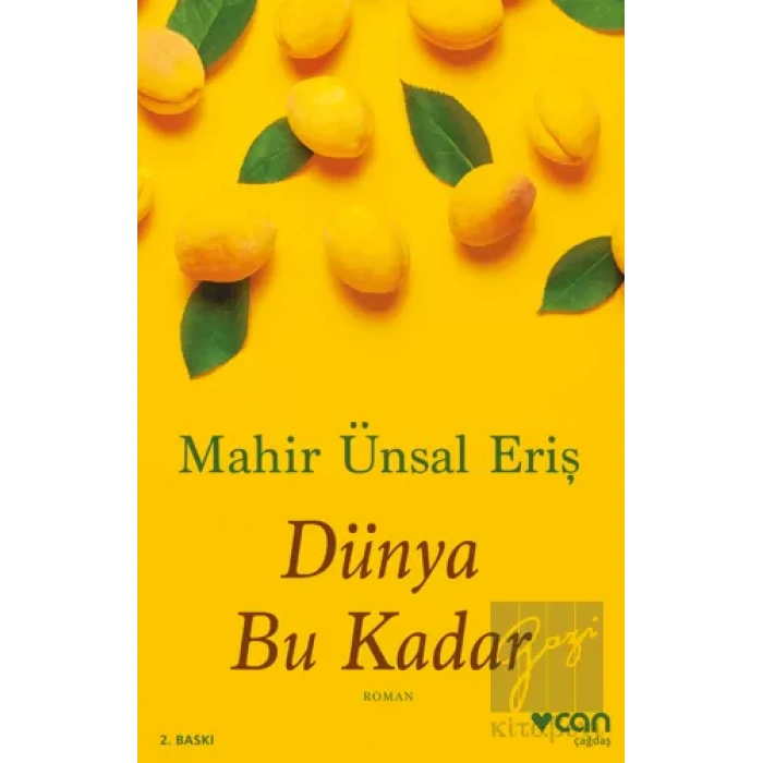 Dünya Bu Kadar