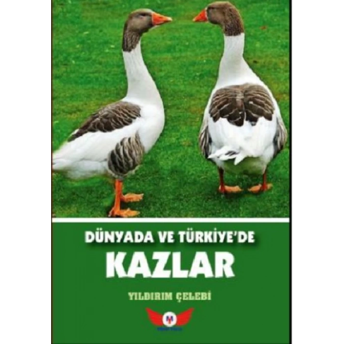 Dünyada Ve Türkiye’de Kazlar