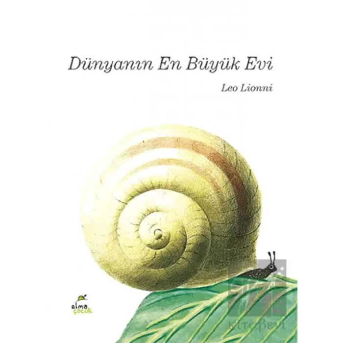 Dünyanın En Büyük Evi