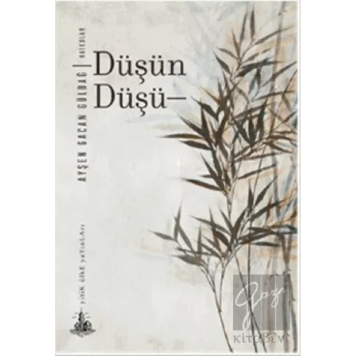 Düşün Düşü