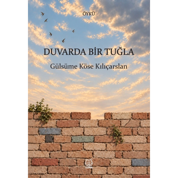 Duvarda Bir Tuğla