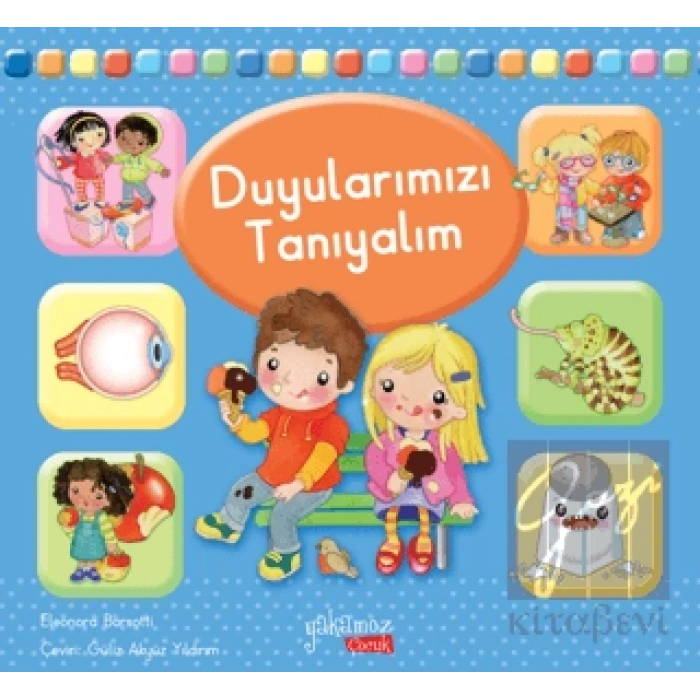 Duyularımızı Tanıyalım