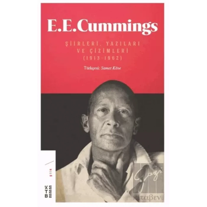 E. E. Cummings Şiirleri, Yazıları ve Çizimleri (1913-1962)