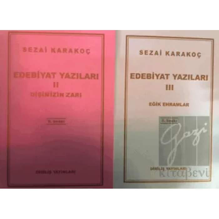 Edebiyat Yazıları 2 - 3
