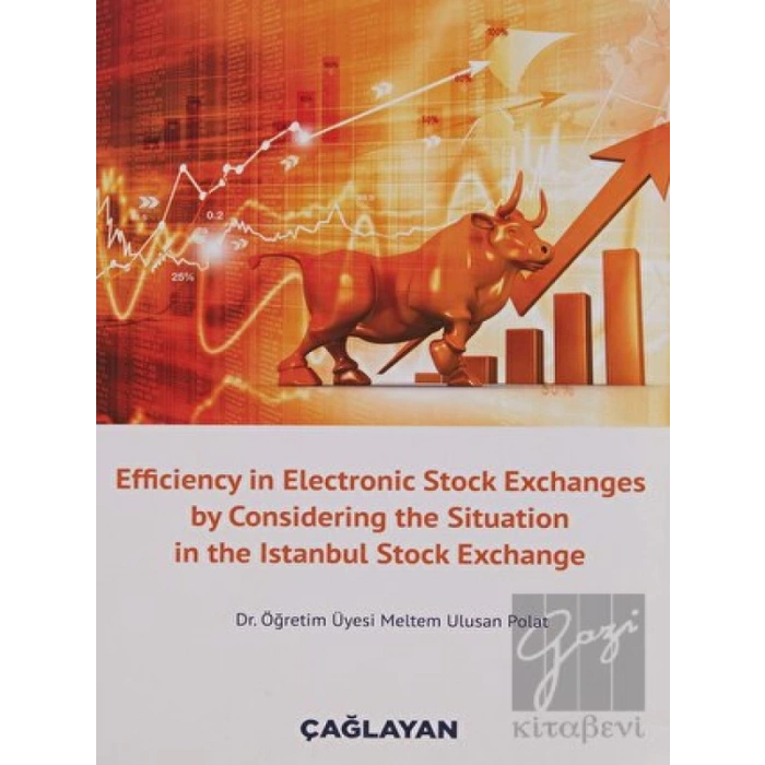 Efficiency in Electronic Stock Exchanges by Considering the Situation in the Istanbul Stock Exchange