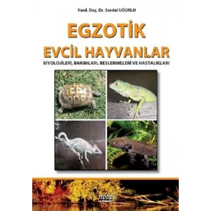 Egzotik Evcil Hayvanlar