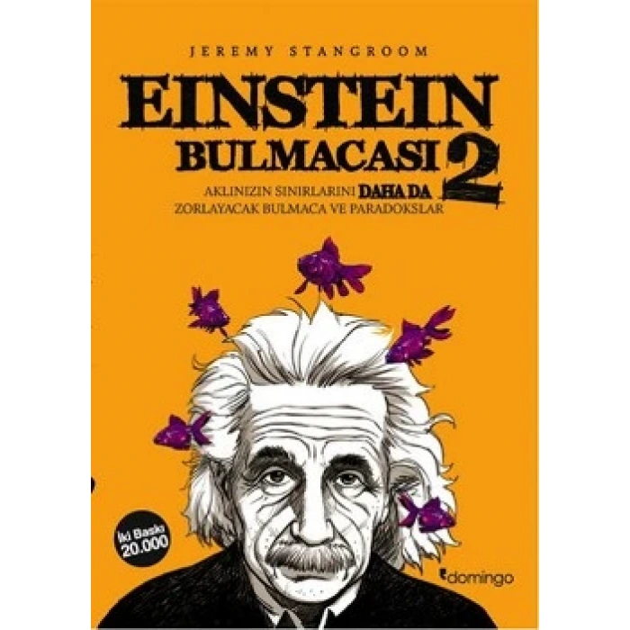 Einstein Bulmacası 2