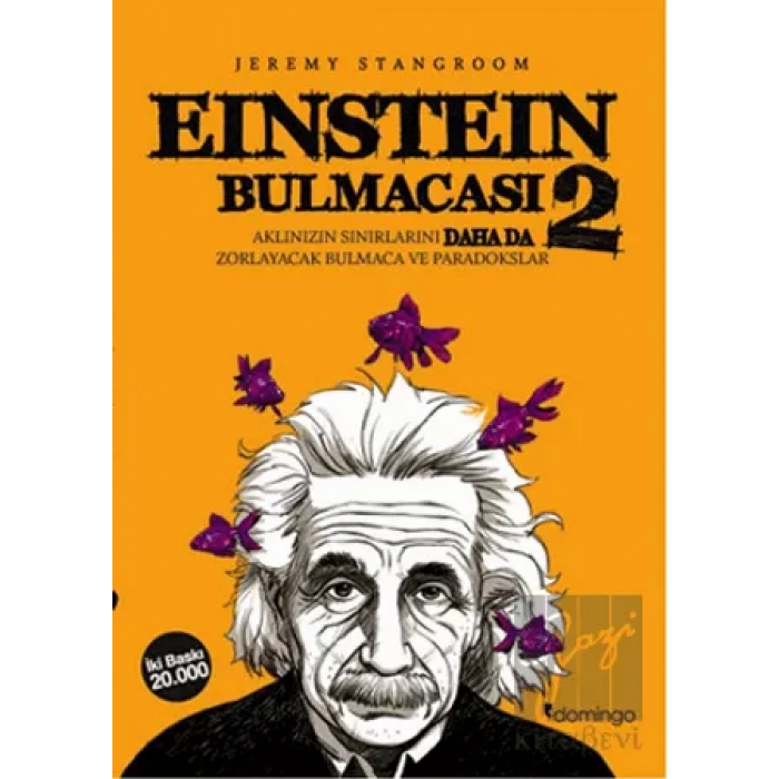 Einstein Bulmacası 2