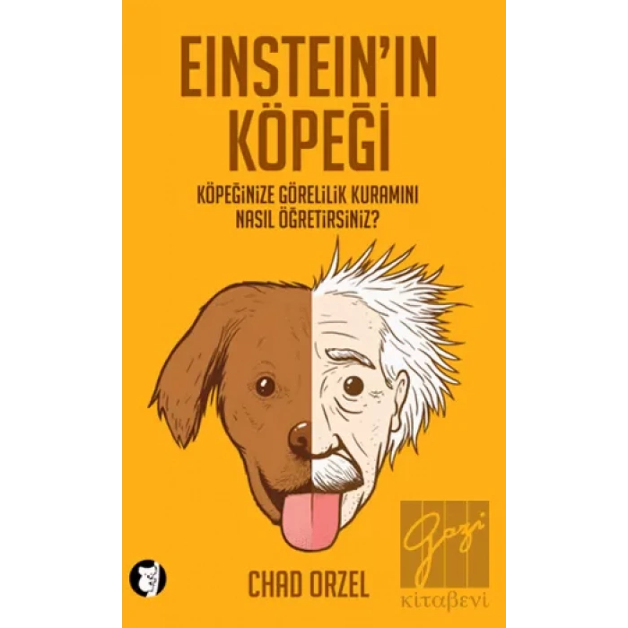 Einsteinın Köpeği: Köpeğinize Görelilik Kuramını Nasıl Öğretirsiniz