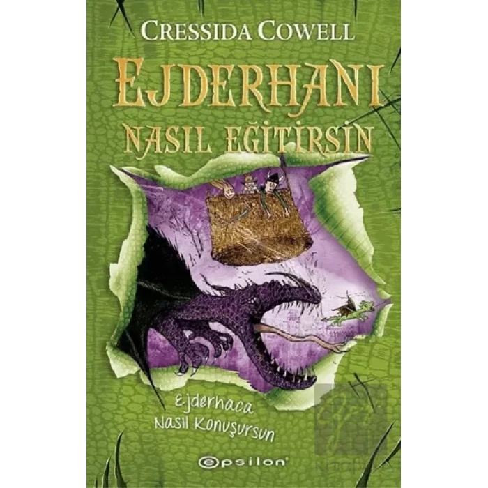 Ejderhaca Nasıl Konuşursun - Ejderhanı Nasıl Eğitirsin 3