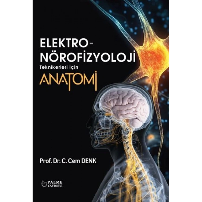 ELEKTRO NÖROFİZYOLOJİ TEKNİKLERİ İÇİN ANATOMİ