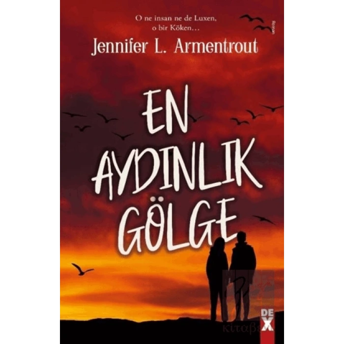 En Aydınlık Gölge