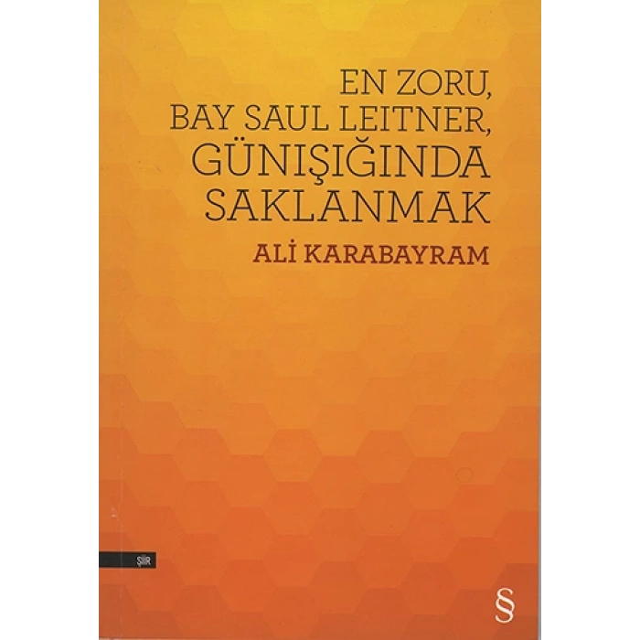 En Zoru, Bay Saul Leitner, Günışığında Saklanmak